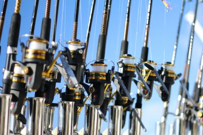 The Development of Bearings for Sea Fishing Gear The Development of Bearings for Sea Fishing Gear