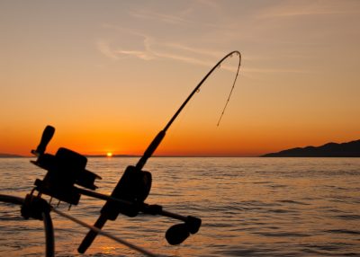 The need for bearings in sea fishing gear The need for bearings in sea fishing gear