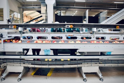 conveyor belt conveyor belt