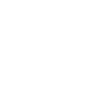 Needle Roller Bearing