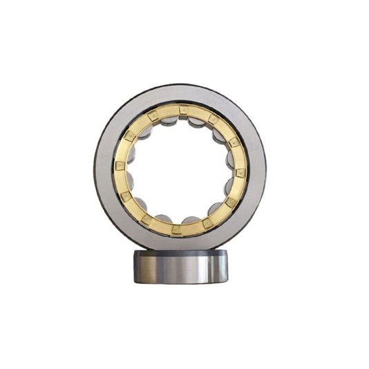 NU2205 Budget Cylindrical Roller Bearing