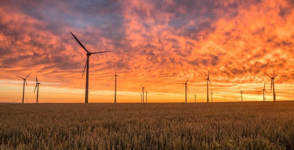 The Significance Of Cylindrical Roller Bearings In Industry And Everyday Life