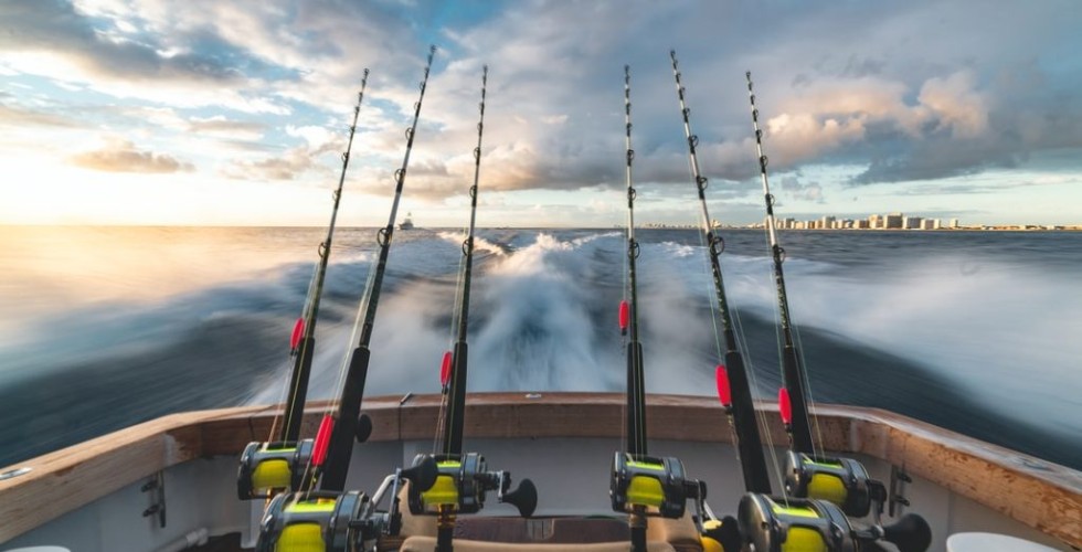 Bearings to Meet the Needs of the Recreational Industry