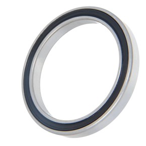 6809 2RS Sealed Ball Bearings