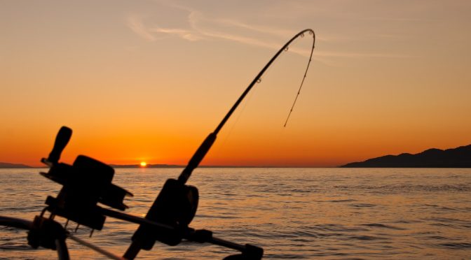 The Development of Bearings for Sea Fishing Gear