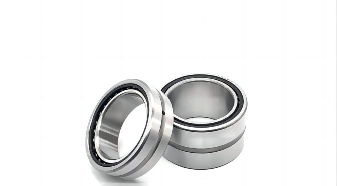NA6906 Radial Needle Roller Bearing